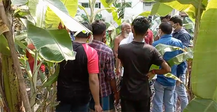 কলাবাগানে পড়ে ছিল অর্ধগলিত মরদেহ