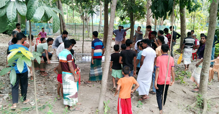 পাবনায় বিদ্যুৎস্পৃষ্ট হয়ে ভাই-বোনের মৃত্যু