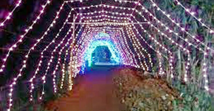 ছেলের বিয়ের আলোকসজ্জার বিদ্যুৎস্পৃষ্টে প্রাণ গেলো বাবার