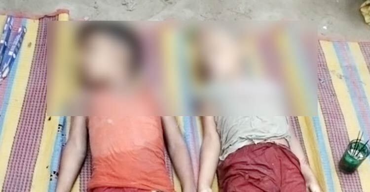 মাছের খামারে গোসলে গিয়ে প্রাণ গেলো ভাই-বোনের