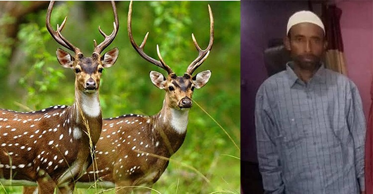 পাহাড়ে হরিণ শিকারে গিয়ে নিজেই গুলিবিদ্ধ হলেন কৃষক
