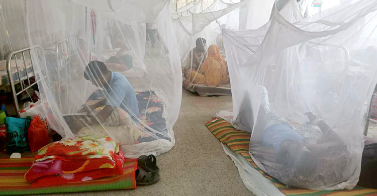 একদিনে ডেঙ্গুতে ৩ জনের মৃত্যু, হাসপাতালে ৩৩১