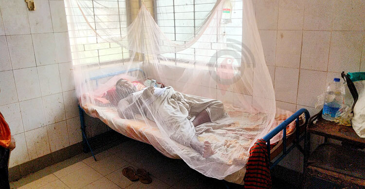 নীলফামারীর প্রত্যন্ত অঞ্চলেও ছড়াচ্ছে ডেঙ্গু