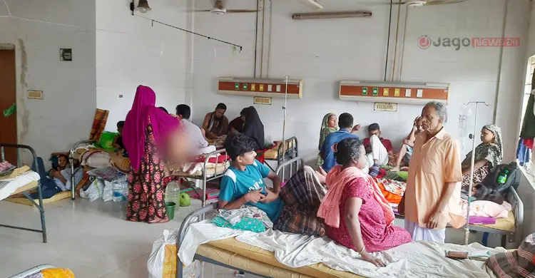 বাগেরহাটে বেড়েছে ডেঙ্গুর প্রকোপ
