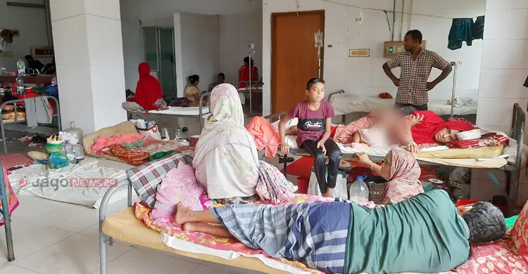 বাগেরহাট বেড়েছে ডেঙ্গুর প্রকোপ