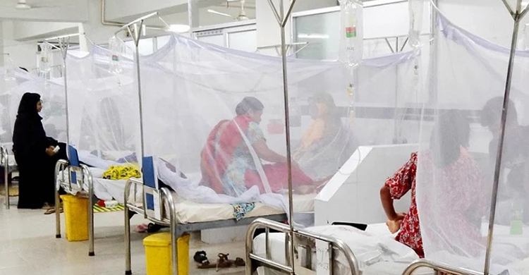 ডেঙ্গুতে আরও দুজনের মৃত্যু, হাসপাতালে ভর্তি ৩২৩