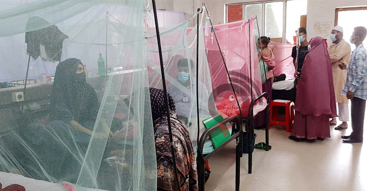 ডেঙ্গুরোধে জরুরি স্বাস্থ্য অবস্থা ঘোষণার দাবি