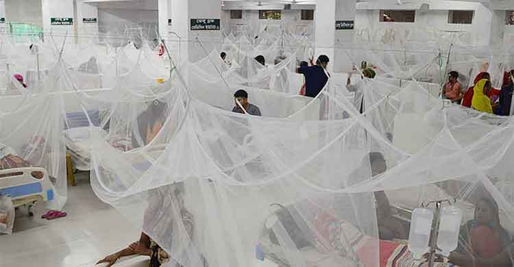 ঊর্ধ্বমুখী ডেঙ্গু, আক্রান্ত ৪২৯