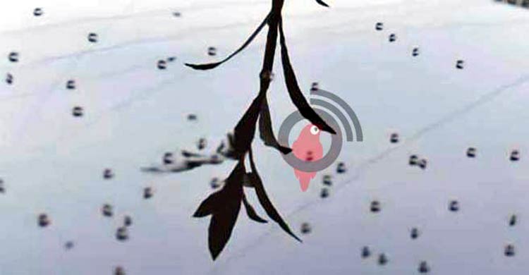 ডেঙ্গু রোধ করা যাচ্ছে না কেন?