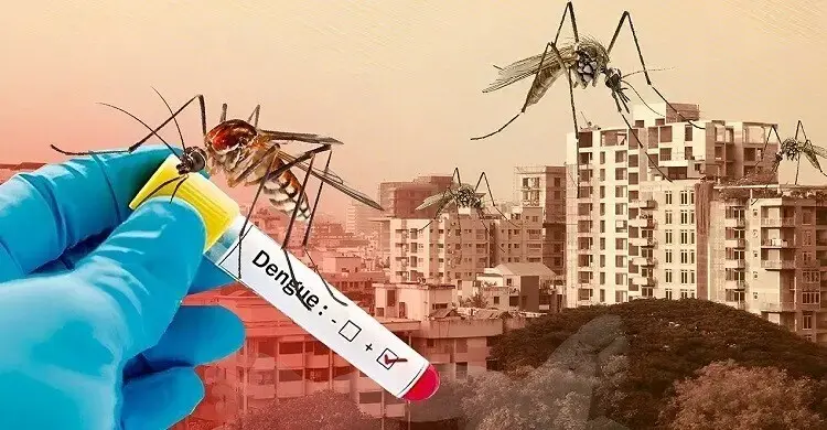 ডেঙ্গুতে আরও ৬ প্রাণহানি, হাসপাতালে ভর্তি ১৫৯৩