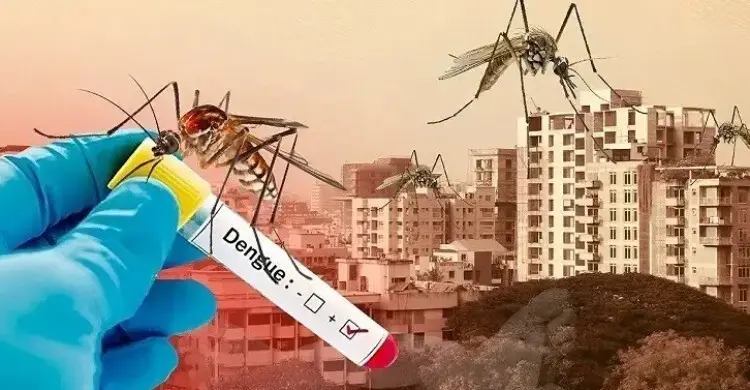 ডেঙ্গুতে আরও ৭ জনের মৃত্যু, হাসপাতালে ভর্তি ১৩৭৩