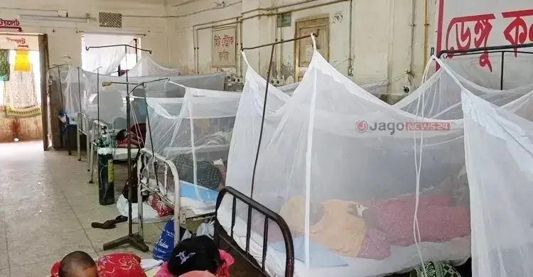 ডেঙ্গু নিয়ে হাসপাতালে চিকিৎসাধীন ২ হাজারের বেশি রোগী