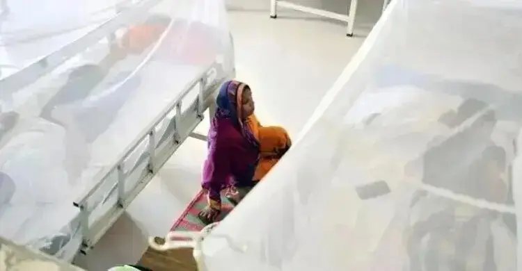 ডেঙ্গু নিয়ে হাসপাতালে ভর্তি ৫০ হাজার ছাড়ালো, মৃত্যু ১৪৩