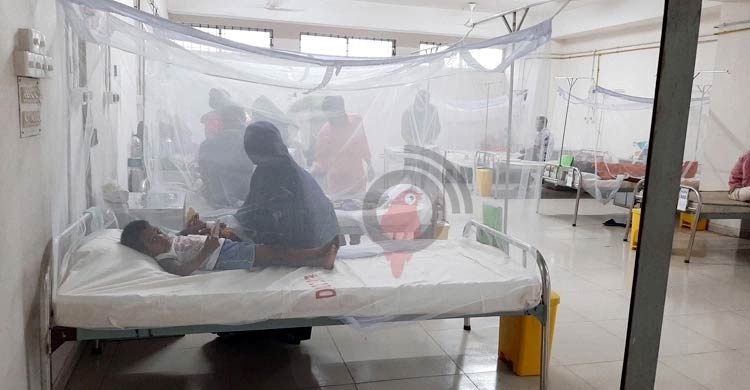 One dengue patient dies; 72 hospitalized in 24 hrs