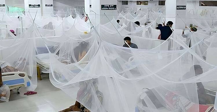 Dengue: 3 more die, 1144 hospitalised in 24 hours