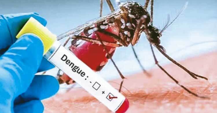 চট্টগ্রামে ডেঙ্গুতে আরও দুইজনের মৃত্যু