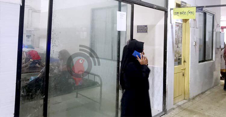 ডেঙ্গুতে একদিনে ৫ মৃত্যু, তিনজনই ঢাকায়