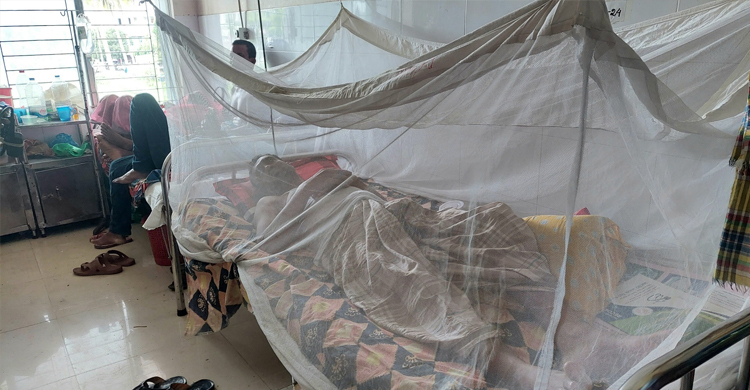 3 more die of Dengue; 580 hospitalised in 24 hours