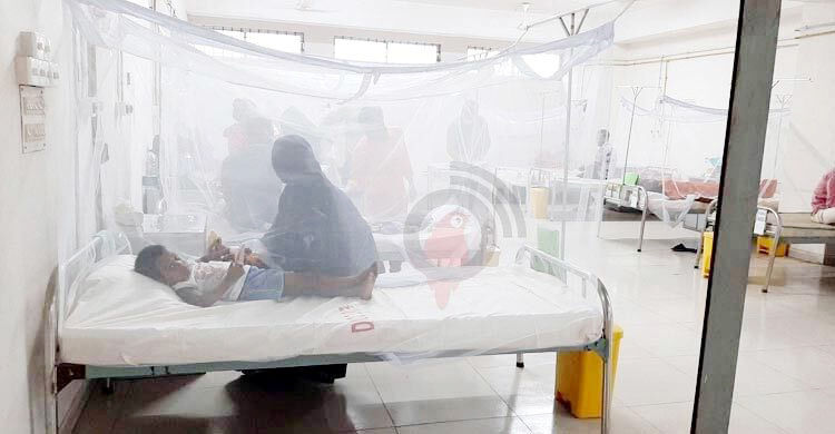 ডেঙ্গু কাড়লো আরও ৫ প্রাণ, হাসপাতালে ভর্তি ৬২২