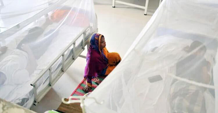Four more dengue deaths reported, 845 hospitalised in 24 hours