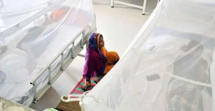 Dengue claims 6 more lives, 983 hospitalised