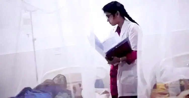 ডেঙ্গুতে ৪ জন মারা গেছেন, হাসপাতালে ভর্তি ১০৪১