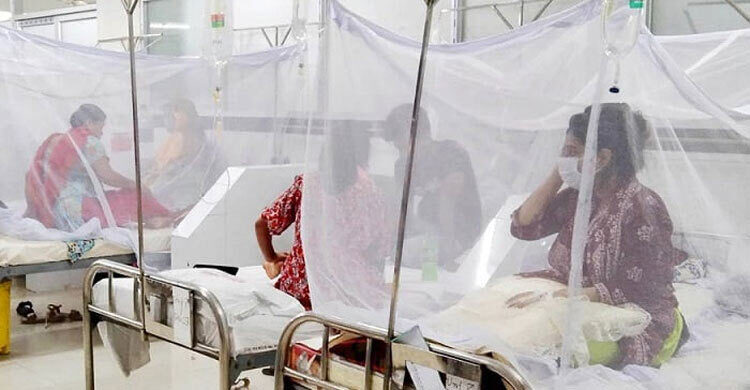 ডেঙ্গুতে আরও ৩ জনের মৃত্যু, হাসপাতালে ভর্তি ১০০৭