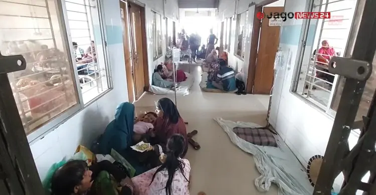মুন্সিগঞ্জে ডেঙ্গুর থাবা, লাফিয়ে লাফিয়ে বাড়ছে