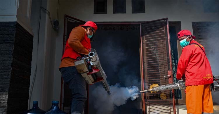 প্রশান্ত মহাসাগরীয় অঞ্চলে ডেঙ্গুর প্রকোপ, দায়ী জলবায়ু সংকট