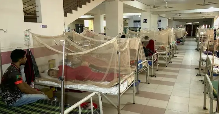 ডেঙ্গুতে আরও একজনের মৃত্যু, হাসপাতালে ভর্তি ১৫৩