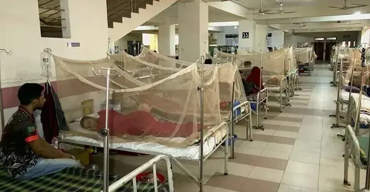 ডেঙ্গুতে আরও ২ প্রাণহানি, হাসপাতালে নতুন ভর্তি ৬৯৩
