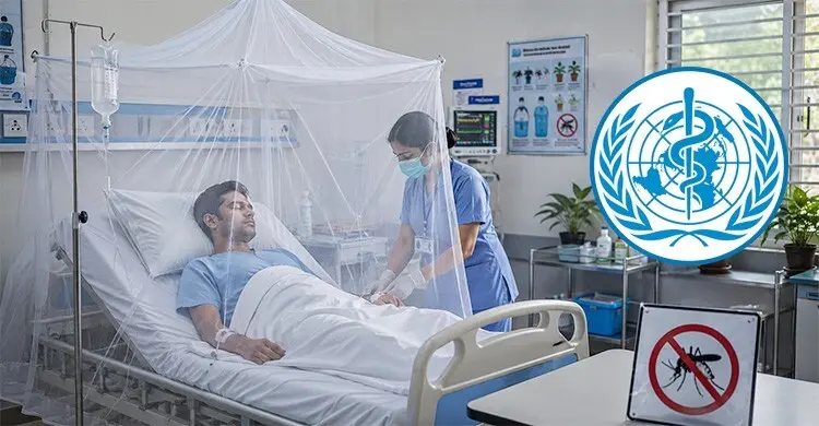 বিশ্বজুড়ে বাড়ছে ডেঙ্গু, সতর্ক থাকার আহ্বান বিশ্ব স্বাস্থ্য সংস্থার