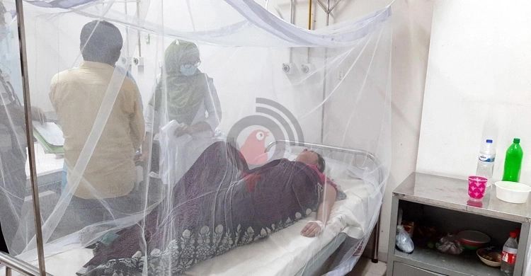 506 dengue cases reported in 24 hours