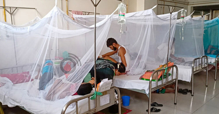 1 dengue death, 383 fresh cases recorded in 24 hrs