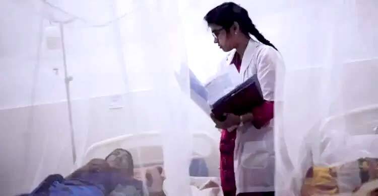 ডেঙ্গুতে আরও ২ জনের মৃত্যু, হাসপাতালে ভর্তি ৭০৫