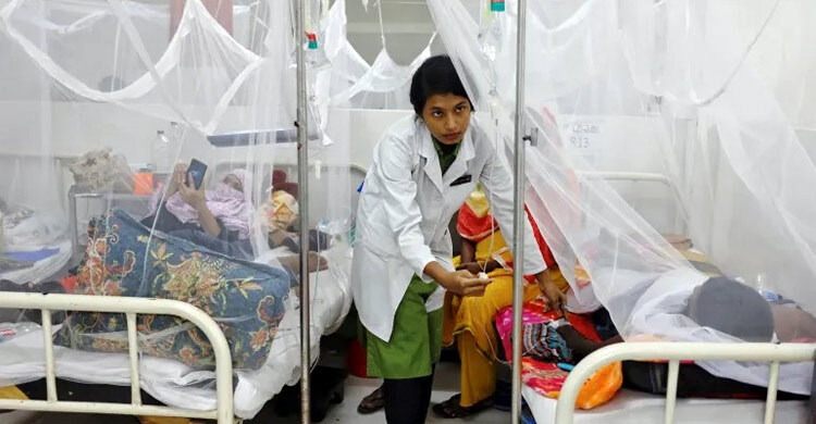 ডেঙ্গুতে তিনজন মারা গেছেন, হাসপাতালে ভর্তি ৭০০