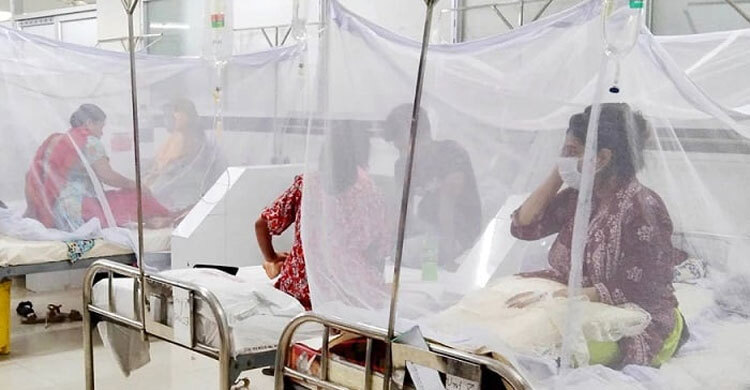 ডেঙ্গুতে একদিনে ঝরলো ১০ প্রাণ