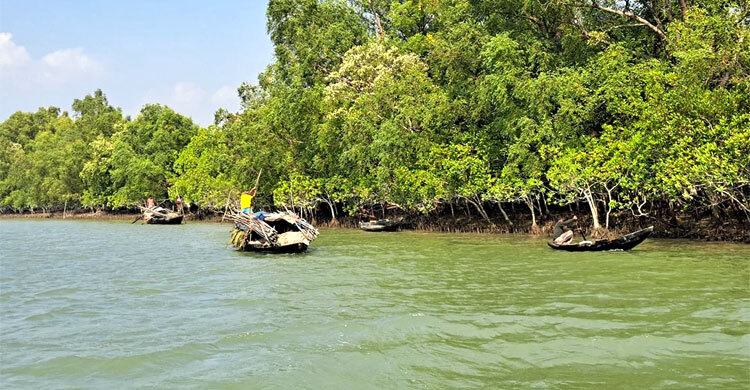সুন্দরবনে দস্যু বাহিনীর হাতে ১০ জেলে অপহৃত, মুক্তিপণ দাবি