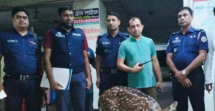 মেঘনায় ভেসে আসা হরিণ উদ্ধার