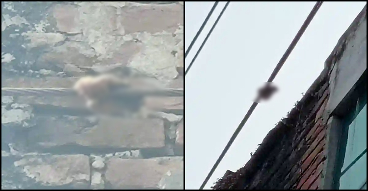 কুমিল্লায় অনিরাপদ বিদ্যুতের তারে ঝুলছিল শিশুর হাত