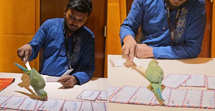 বৈশাখ আয়োজনে ভাগ্য বলে দিচ্ছে টিয়া!