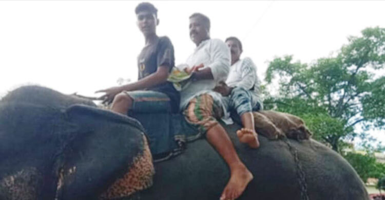 খুশিতে নবজাতক নাতিকে হাতির পিঠে চড়িয়ে বাড়ি নিয়ে গেলেন দাদা