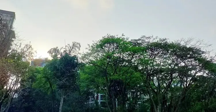 টানা ৩ দিন ধরে ঢাকার বায়ু একই মানের