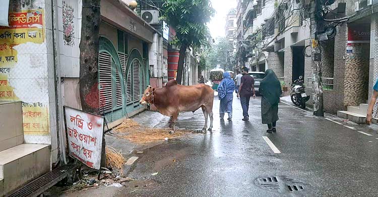 ঢাকার অট্টালিকা এখন গোয়ালঘর!