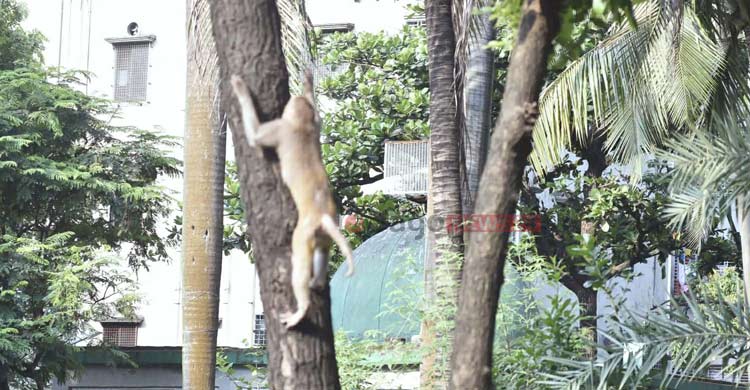 জীববৈচিত্র্য রক্ষায় দরকার ‘ব্লু-গ্রিন ইকোসিস্টেম’