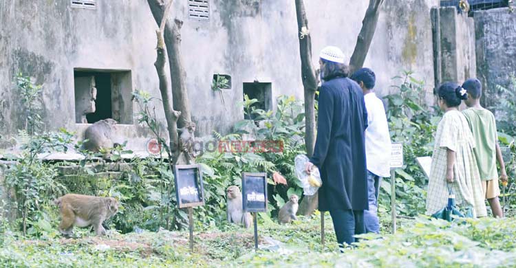 জীববৈচিত্র্য রক্ষায় দরকার ‘ব্লু-গ্রিন ইকোসিস্টেম’
