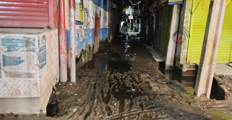 মনোনয়ন দৌড়ে বিএনপির দুই নেতা, মাঠে সক্রিয় জামায়াত-এনসিপিও