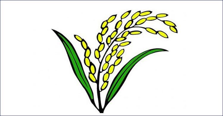 ধানের শীষ পেলেন ১০ আইনজীবী