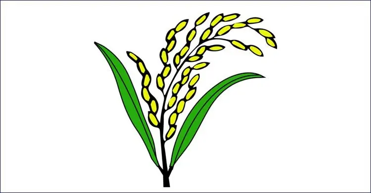 উত্তরসূরী হিসেবে ধানের শীষ পেলেন যারা