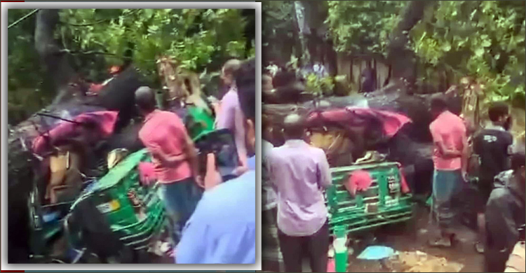 ধানমন্ডিতে অটোরিকশা-মোটরসাইকেলের ওপর উপড়ে পড়লো গাছ, নারী আহত